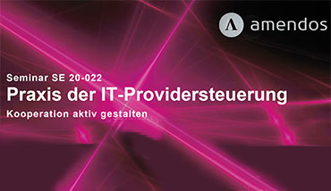 IT-Providersteuerung