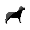 Captcha image 2517